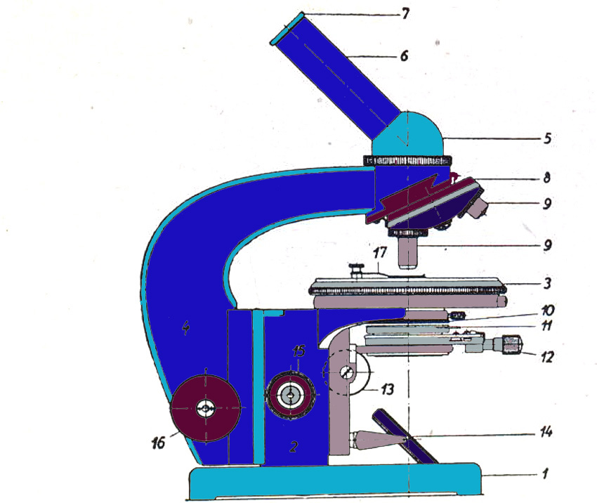 Progetto 